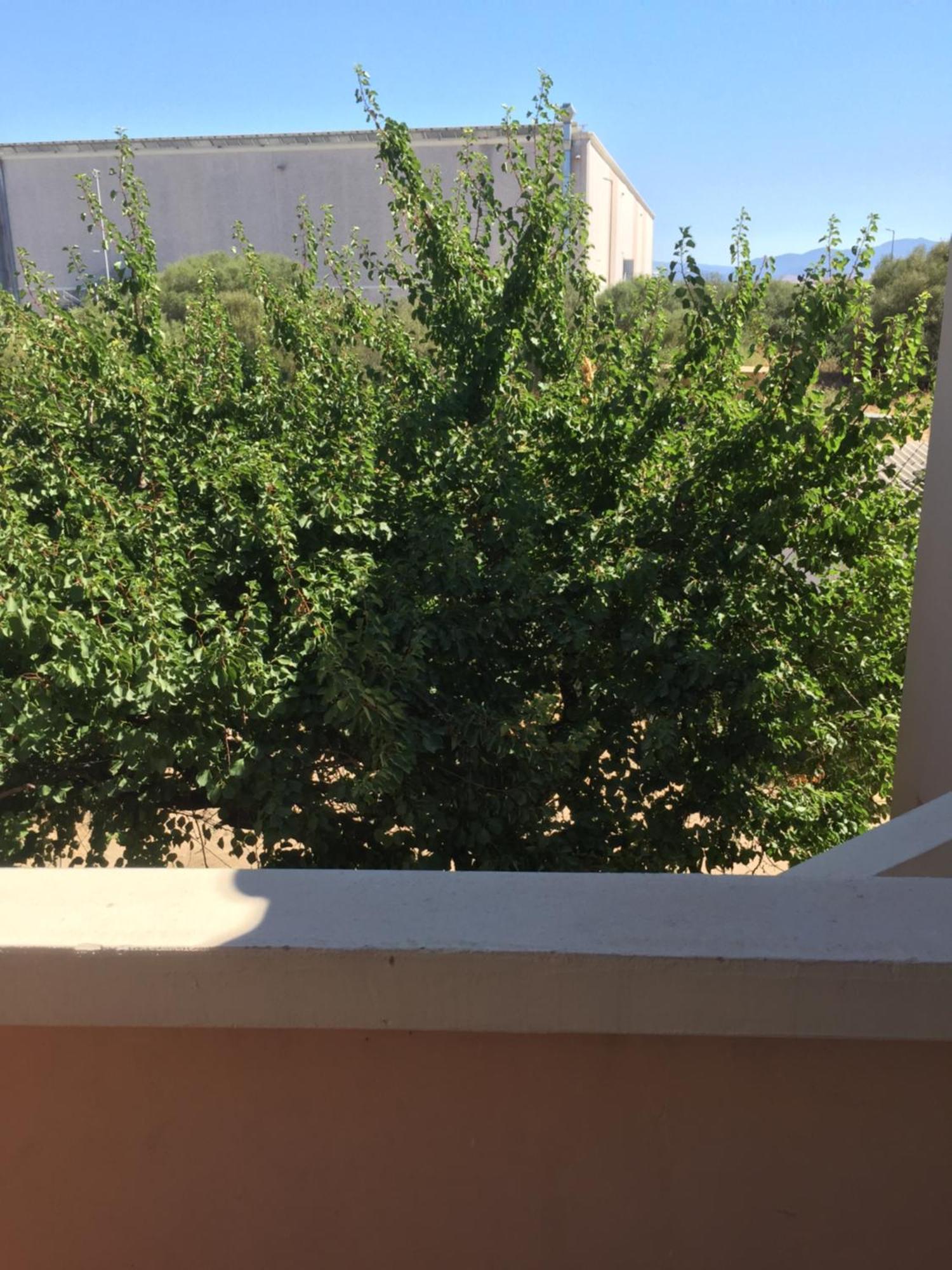 La Maison Di Zia Annina Olbia Extérieur photo