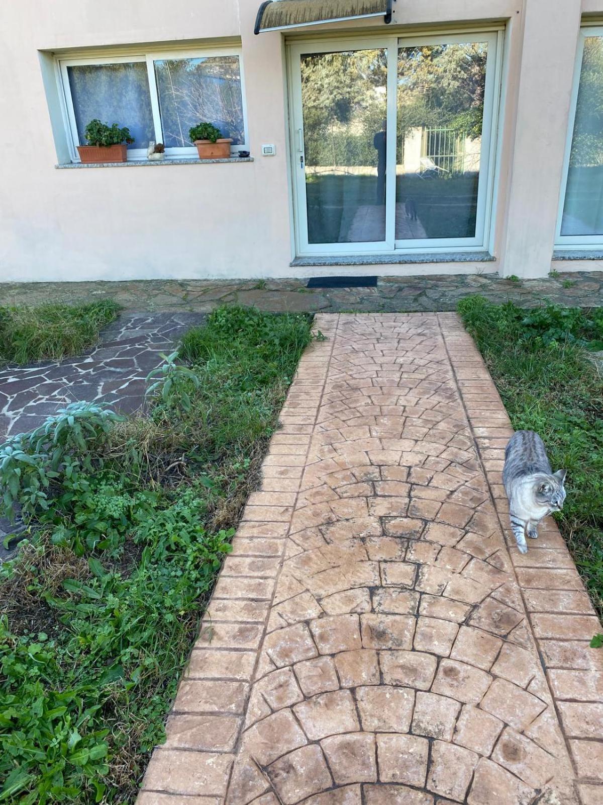 La Maison Di Zia Annina Olbia Extérieur photo