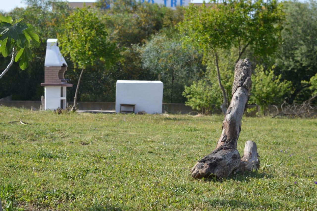 La Maison Di Zia Annina Olbia Extérieur photo